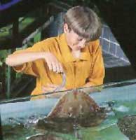 Aquarium