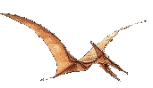 Dinosaur Isle Museum