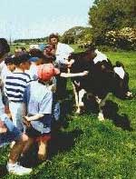 farm visit