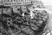 Mary Rose