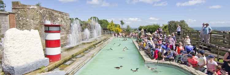 Seaview Wildlife Encounter